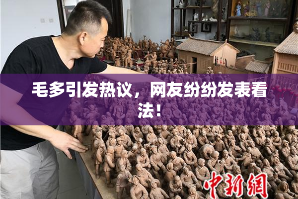 毛多引发热议，网友纷纷发表看法！