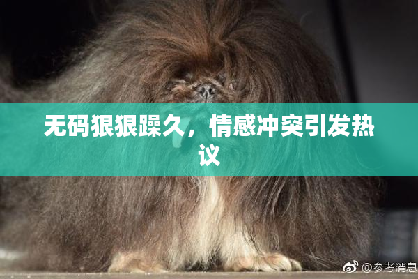 无码狠狠躁久，情感冲突引发热议