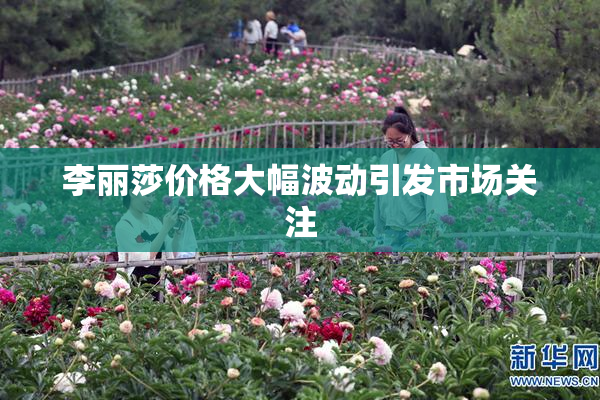 李丽莎价格大幅波动引发市场关注