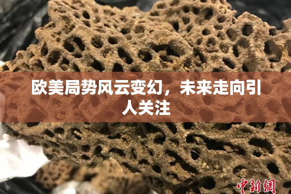欧美局势风云变幻，未来走向引人关注