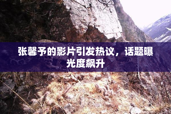 张馨予的影片引发热议，话题曝光度飙升