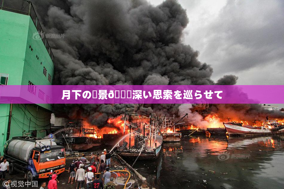 月下の風景🎆深い思索を巡らせて