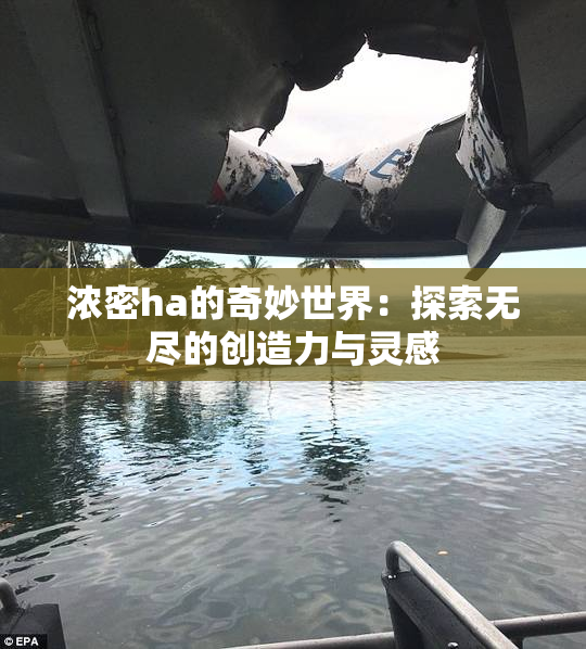 浓密ha的奇妙世界：探索无尽的创造力与灵感