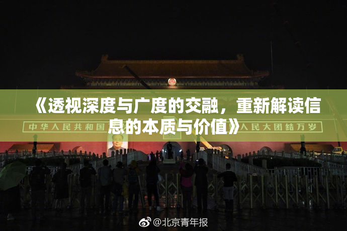 《透视深度与广度的交融，重新解读信息的本质与价值》
