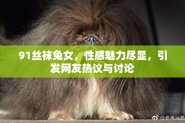 91丝袜兔女，性感魅力尽显，引发网友热议与讨论