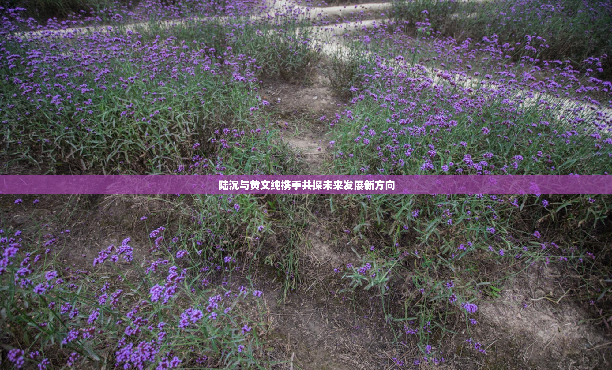 陆沉与黄文纯携手共探未来发展新方向