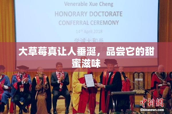 大草莓真让人垂涎，品尝它的甜蜜滋味