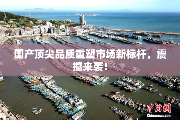 国产顶尖品质重塑市场新标杆，震撼来袭！