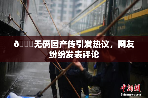 🔞无码国产传引发热议，网友纷纷发表评论