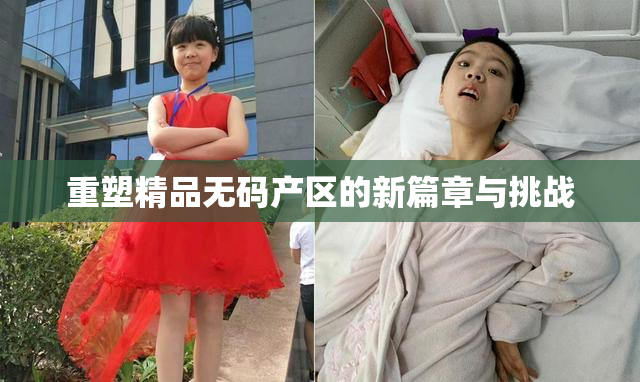 重塑精品无码产区的新篇章与挑战