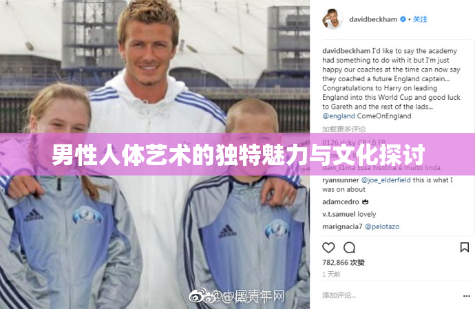 男性人体艺术的独特魅力与文化探讨