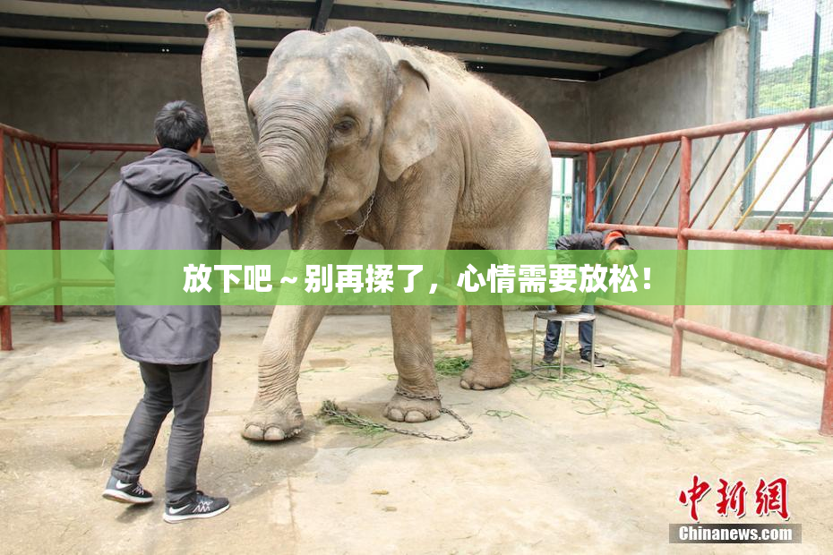 放下吧～别再揉了，心情需要放松！