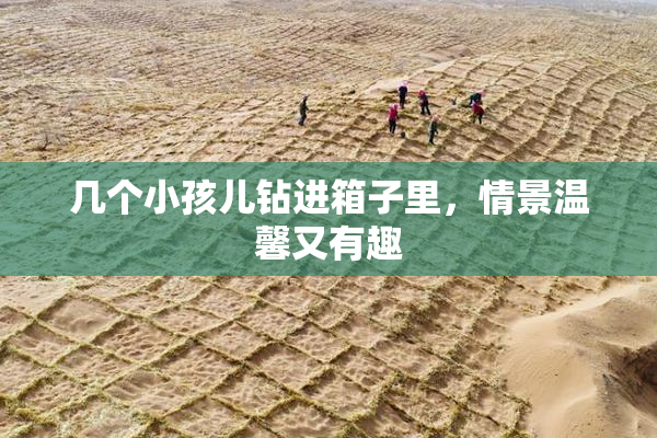 几个小孩儿钻进箱子里，情景温馨又有趣
