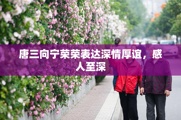 唐三向宁荣荣表达深情厚谊，感人至深