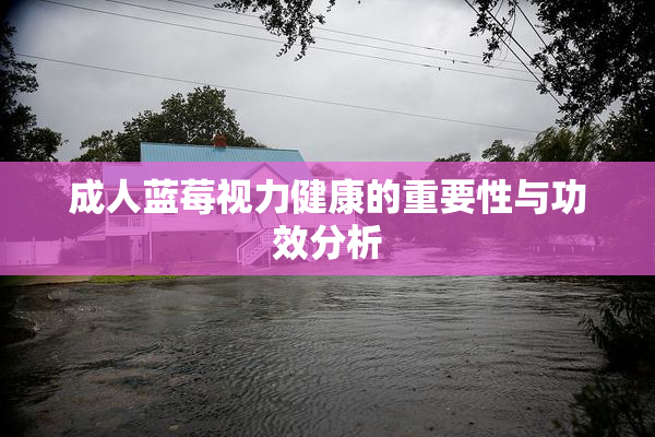 成人蓝莓视力健康的重要性与功效分析