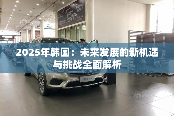 2025年韩国：未来发展的新机遇与挑战全面解析