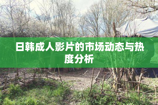 日韩成人影片的市场动态与热度分析