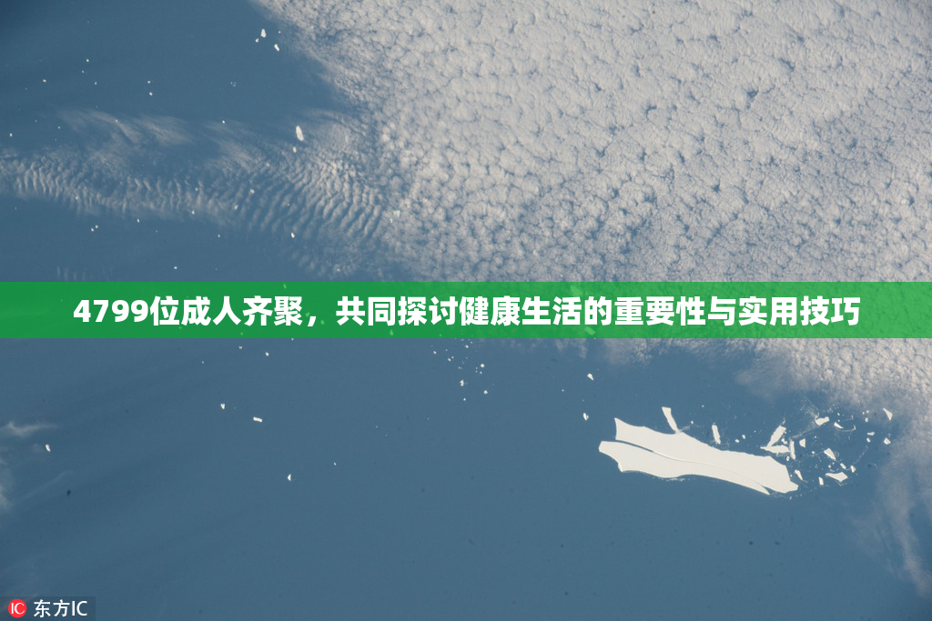 4799位成人齐聚，共同探讨健康生活的重要性与实用技巧