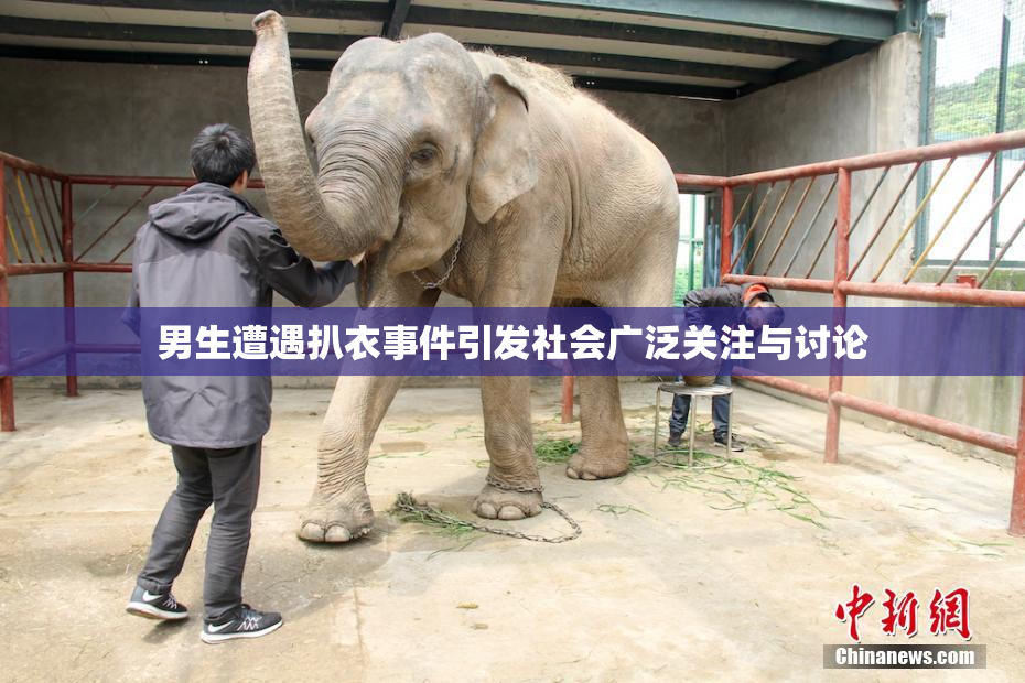 男生遭遇扒衣事件引发社会广泛关注与讨论