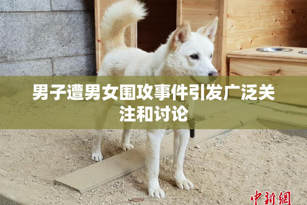 男子遭男女围攻事件引发广泛关注和讨论