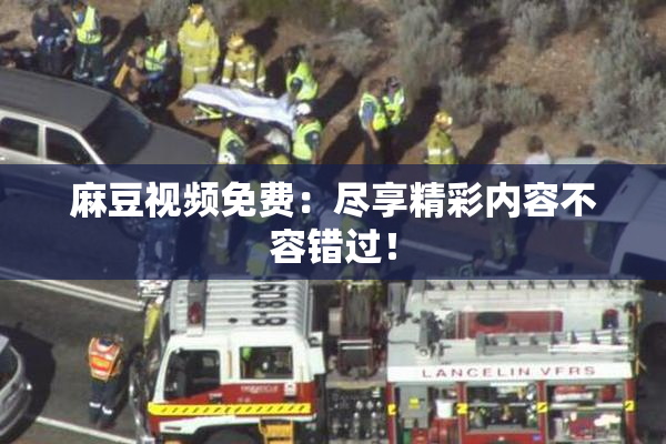 麻豆视频免费：尽享精彩内容不容错过！