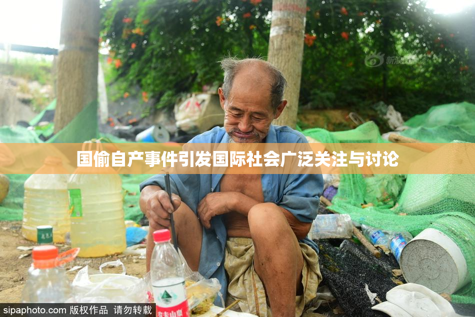 国偷自产事件引发国际社会广泛关注与讨论