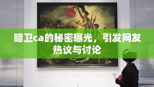 暗卫ca的秘密曝光，引发网友热议与讨论