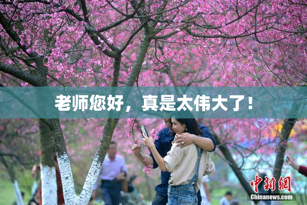 老师您好，真是太伟大了！