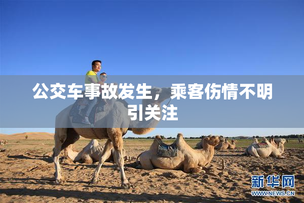 公交车事故发生，乘客伤情不明引关注