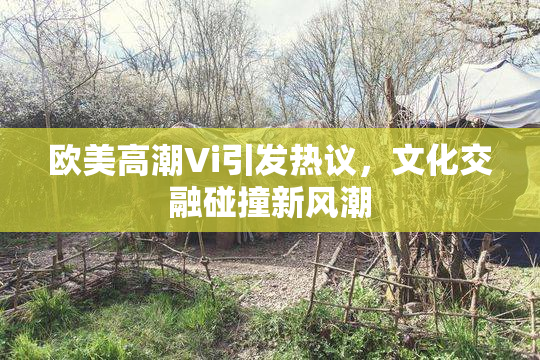 欧美高潮Vi引发热议，文化交融碰撞新风潮