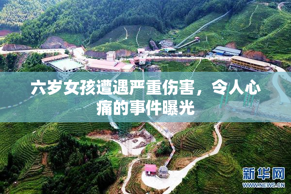 六岁女孩遭遇严重伤害，令人心痛的事件曝光