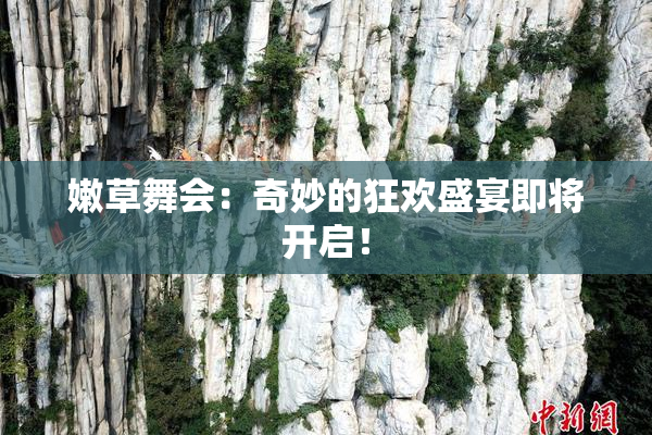 嫩草舞会：奇妙的狂欢盛宴即将开启！