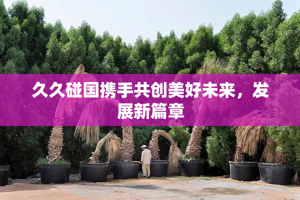 久久碰国携手共创美好未来，发展新篇章