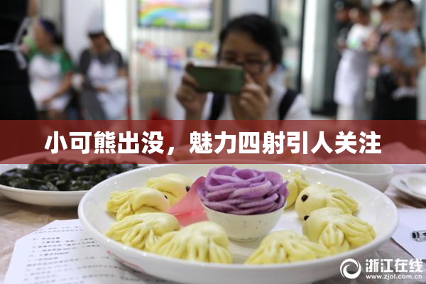 小可熊出没，魅力四射引人关注