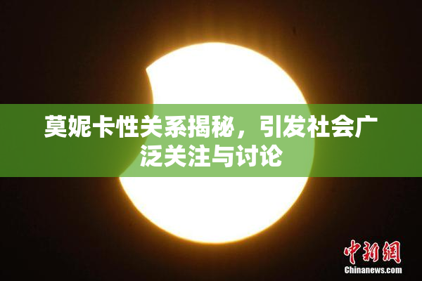 莫妮卡性关系揭秘，引发社会广泛关注与讨论