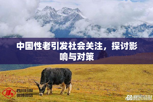 中国性老引发社会关注，探讨影响与对策