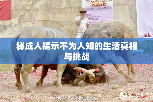 秘成人揭示不为人知的生活真相与挑战