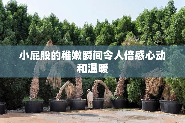 小屁股的稚嫩瞬间令人倍感心动和温暖