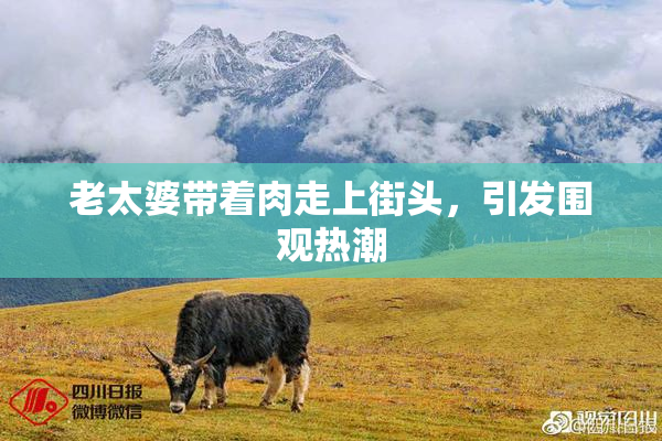 老太婆带着肉走上街头，引发围观热潮