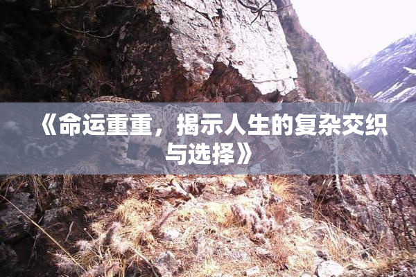 《命运重重，揭示人生的复杂交织与选择》
