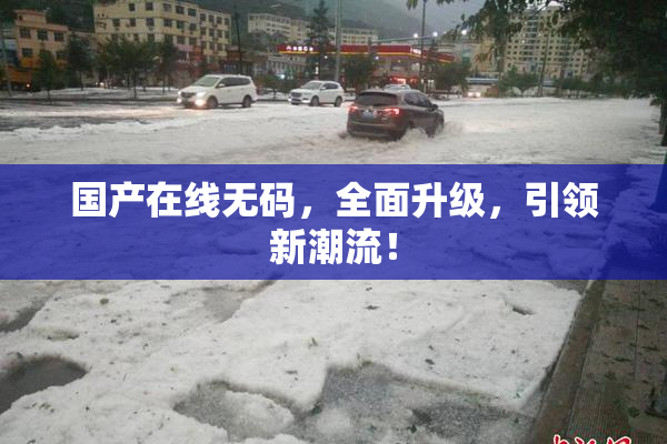 国产在线无码，全面升级，引领新潮流！