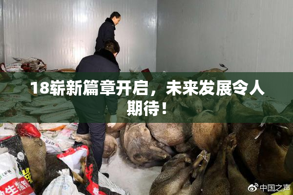 18崭新篇章开启，未来发展令人期待！