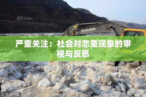 严重关注：社会对恋童现象的审视与反思