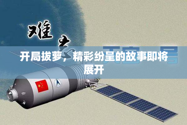 开局拔萝，精彩纷呈的故事即将展开