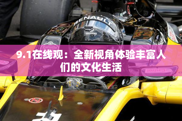 9.1在线观：全新视角体验丰富人们的文化生活