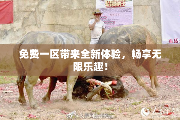 免费一区带来全新体验，畅享无限乐趣！