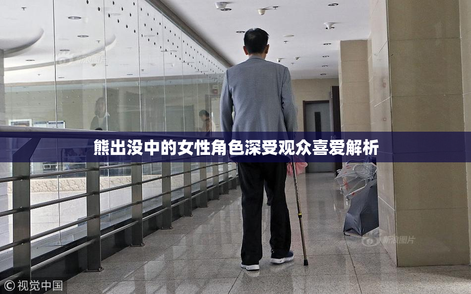熊出没中的女性角色深受观众喜爱解析