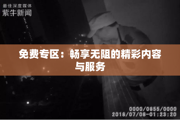 免费专区：畅享无阻的精彩内容与服务