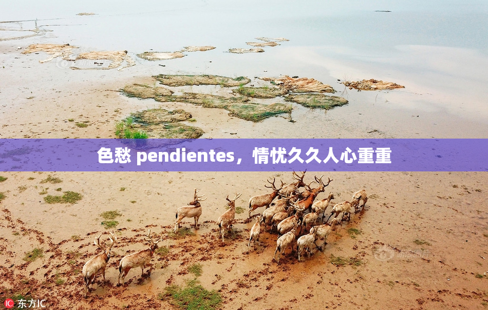 色愁 pendientes，情忧久久人心重重