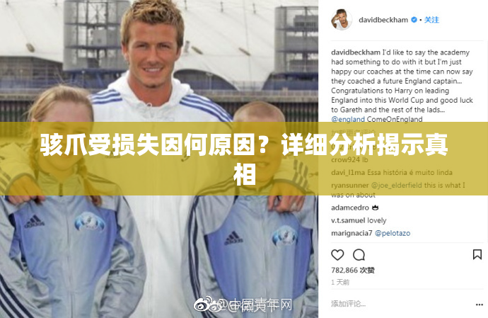 骇爪受损失因何原因？详细分析揭示真相